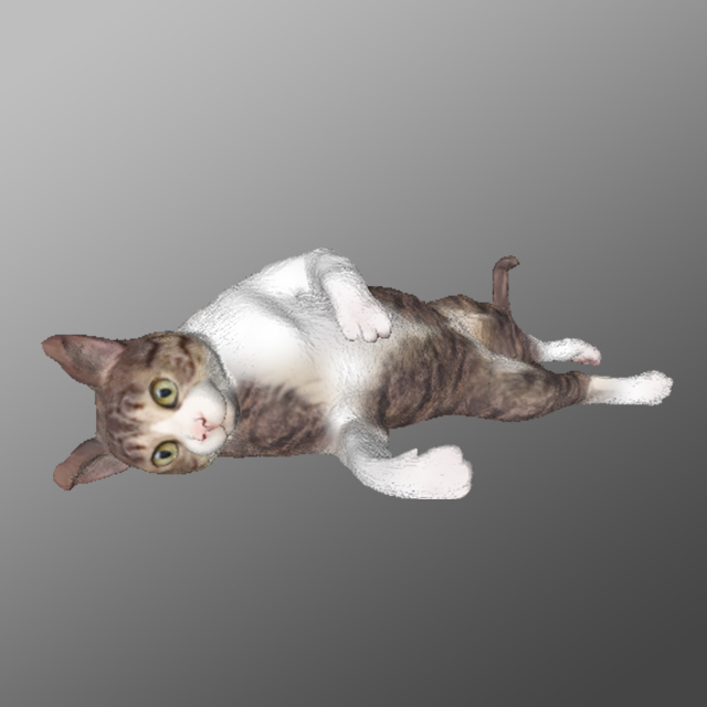 猫のモデル 制作実績 3dコンテンツ制作 3dモデリングのご相談はモデリー