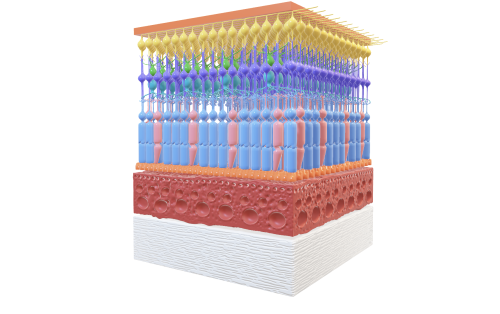 スクリーンショット 2025-11-13 15.46.29.png