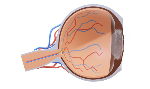 スクリーンショット 2025-11-13 15.46.21.png
