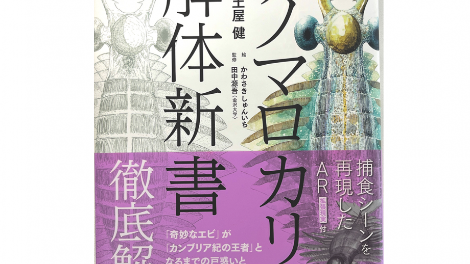 アノマロカリス解体新書の画像