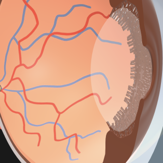 スクリーンショット 2026-03-27 15.32.06.png