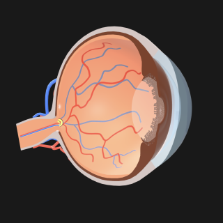 スクリーンショット 2026-03-27 15.20.03.png