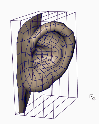 ラティス デフォーマの例。人の耳のモデルを格子モデルに沿い変形させる。