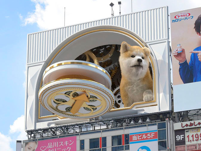 渋谷の3D映像『秋田犬』の画像