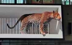 3D広告のアイキャッチ画像