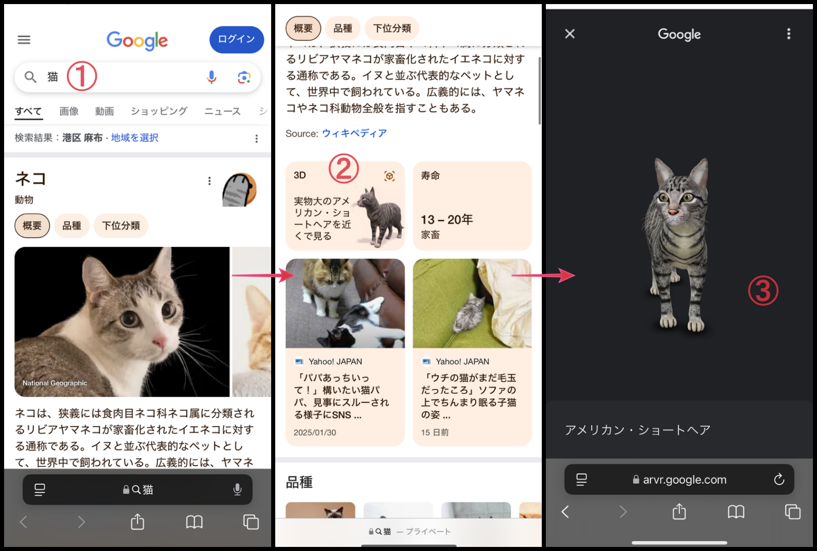 Google検索3D猫の表示方法の画像