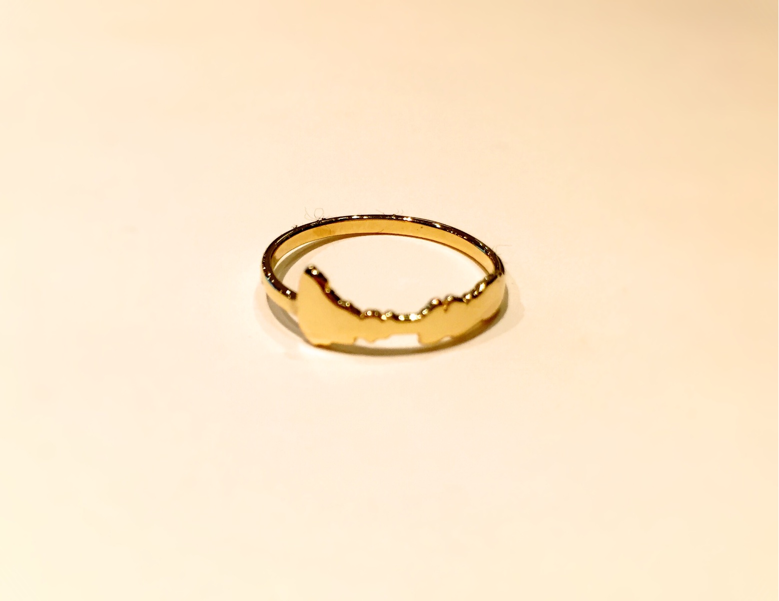 3Dプリンターで作成した「アクセサリー」の画像