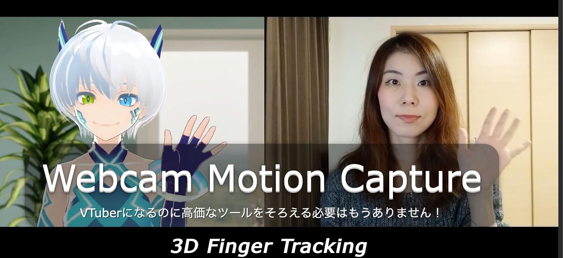 webcam motion captureの画像