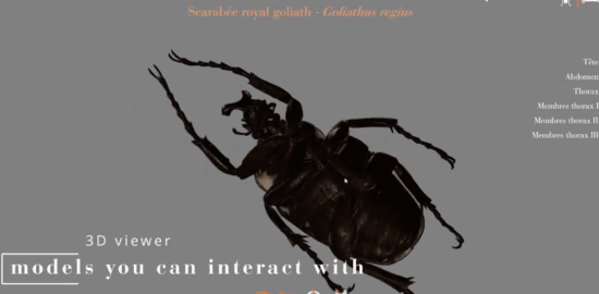 Arthropodsの利用画像