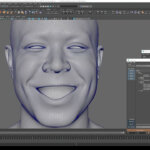 Advanced Facial Blendshape Networks