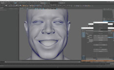 Advanced Facial Blendshape Networks