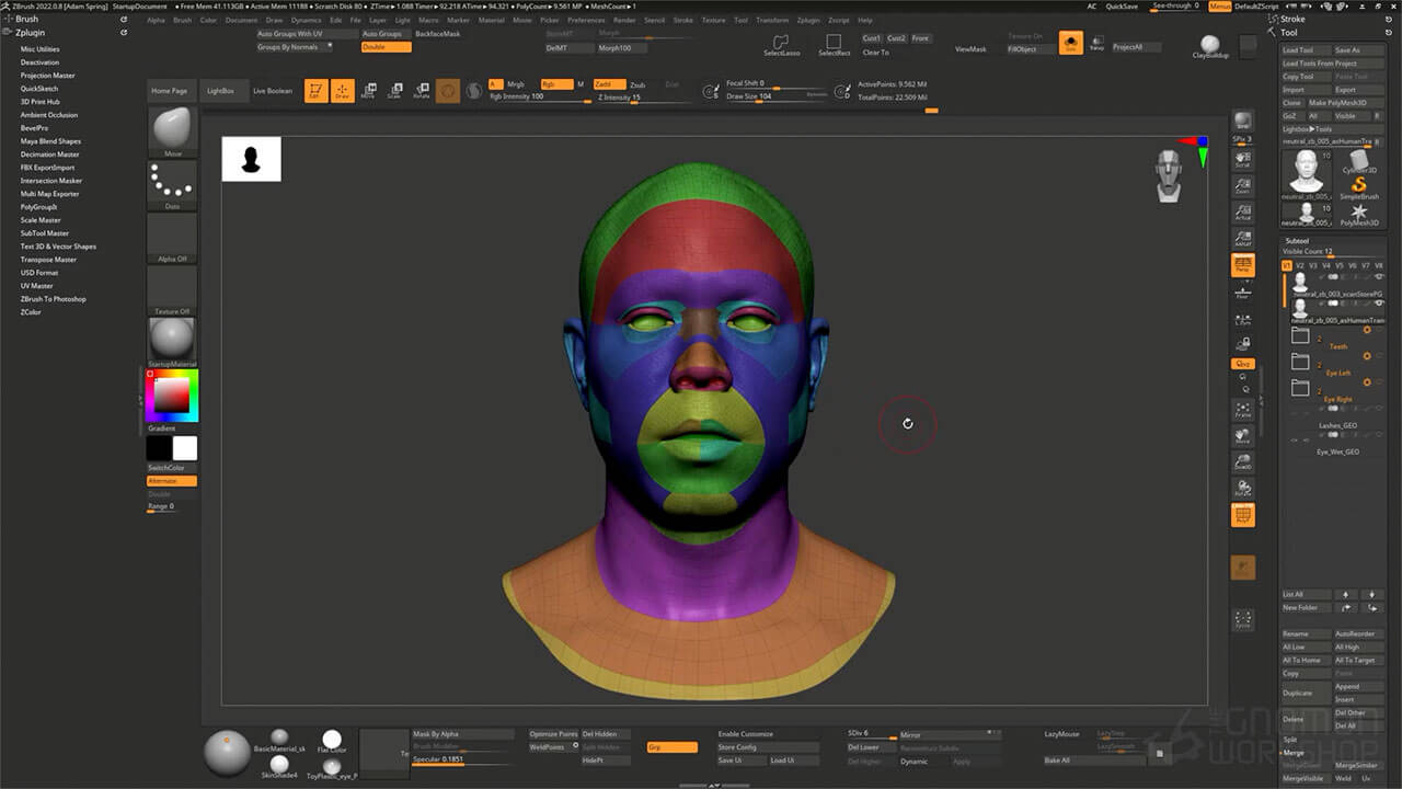 Advanced Facial Blendshape Networks