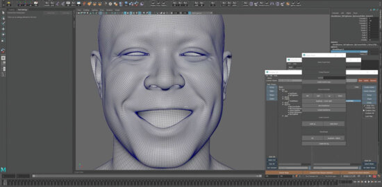 Advanced Facial Blendshape Networks