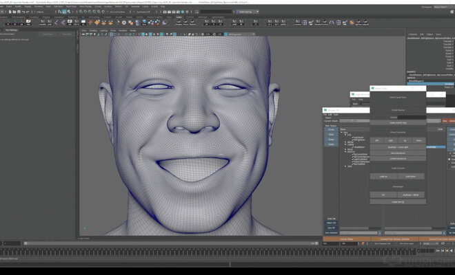 Advanced Facial Blendshape Networks