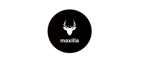 maxilla