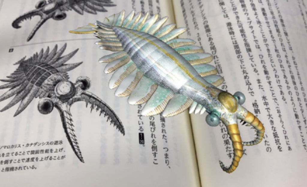 アノマロカリスの3Dモデル