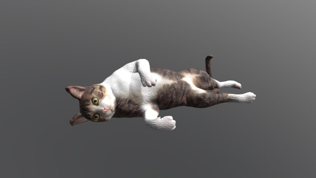 猫の3Dデータの画像